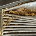 Is Cabin Air Filter Replacement Necessary?